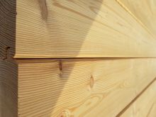 Elewacja drewniana - Modrzew Syberyjski 21x119-profil faza